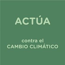Actúa contra el cambio climático. Animation, Communication, Graphic Design, and Vector Illustration project by Eider Totorikaguena - 03.16.2020