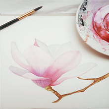 Sueño floral. Traditional illustration, and Botanical Illustration project by Katherin Valencia Rosero - 03.17.2021