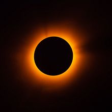 Seres de São Paulo  Ein Projekt aus dem Bereich Fotografie von Bruno Dantas - 17.03.2021
