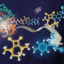Cover Issue: Chemical Communications. 3D Design project by Marta Ximenis Campins - 03.17.2021