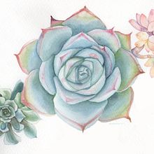  Energía Botánica. Un proyecto de Ilustración tradicional, Ilustración botánica e Ilustración naturalista				 de Katherin Valencia Rosero - 19.03.2021
