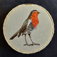 Mi Proyecto del curso: Pintar con hilo: técnicas de ilustración textil. Embroider project by aline.paez34 - 03.18.2021