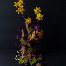 Woodland, fairy-tale arrangement. Design, Decoration, and DIY project by Elena Claudia Vasile - 03.18.2021