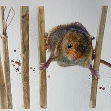 Watercolour mouse. . Watercolor Painting project by Sarah Stokes - 03.18.2021
