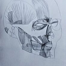 Minhas atividades no Curso Desenho Anatômico Da Cabeça Humana. Figure Drawing project by Jordana Borchartt Quevedo - 03.19.2021