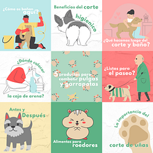 Diseño, decoración e inclusión. Social Media project by Gaby Garcia - 03.02.2021
