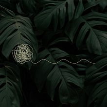 Kátia Feijó Ein Projekt aus dem Bereich Br, ing und Identität, Logodesign, Grafikdesign und Kunstleitung von Carolina Lopez - 18.03.2021