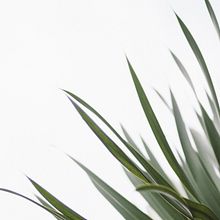 Mi Proyecto del curso: Estrategia de marca en Instagram. Un progetto di Marketing digitale di Yesi Munera Perez - 18.03.2021