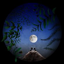 Stories from our garden. Children's Illustration project by Dominika Uhrincová - 08.18.2020