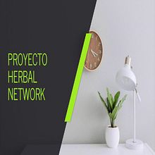 Mi Proyecto del curso: Modelos de negocio para creadores y creativos . Marketing project by Thony Jesús Chávez Soto - 03.19.2021