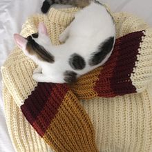 My first sweater. Arts, Crafts, and Crochet project by Katarína Danová - 03.19.2021