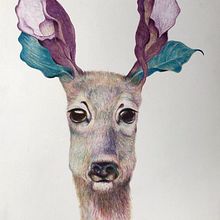 Mi Proyecto del curso: Ilustración surrealista inspirada en la naturaleza. Un progetto di Disegno, Disegno a matita, Disegno artistico, Illustrazione tradizionale e Illustrazione naturalistica di Florence Saje - 19.03.2021