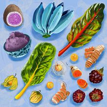 7 Days of Rainbow Health. Un projet de Illustration numérique et Illustration traditionnelle de Olivia Marohnic - 07.03.2021