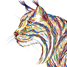 Lince Ibérico. Un proyecto de Ilustración tradicional de Juan Velasco - 04.11.2020