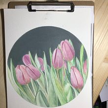Tulipanes en acuarela con técnica en negativo. Botanical Illustration project by Pili Guardiola - 03.20.2021
