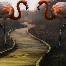 Mi Proyecto del curso: Fotomontaje surrealista con Photoshop . Photomontage project by elioaguilon12 - 03.20.2021