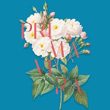 TYPOGRAPHY. Poster Design, T, and pograph project by Anastasia Farmanyan - 03.20.2021