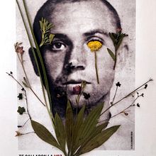 Te callaron la voz, pero las flores ya habían salido.. Projekt z dziedziny  Kolaż użytkownika Celia Vidaurre Heras - 05.04.2021