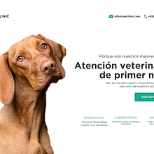 Mi Proyecto del curso: Diseño de interfaces para sitios web y aplicaciones. Un proyecto de Diseño Web y UX / UI de Angel Ramos - 21.03.2021