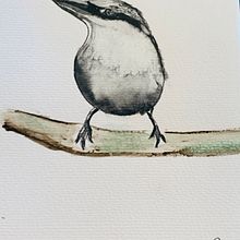 mono color bird. Un proyecto de Pintura a la acuarela de Ellie Page - 21.03.2021