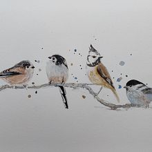 Mein Kursprojekt: Illustriere Vögel mit expressiven Aquarelltechniken. Un progetto di Pittura ad acquerello di Annelie Brux - 21.03.2021