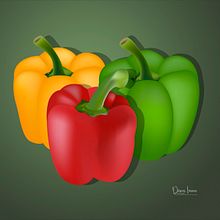 "Vegetables" ilustración  . Ilustrație tradițională de Diana German - 03.22.2021