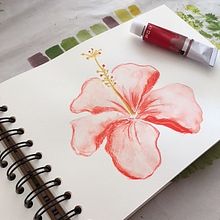 Mi Proyecto del curso: Cuaderno botánico en acuarela Ein Projekt aus dem Bereich Animation von Mercedes Lamborelle - 22.03.2021