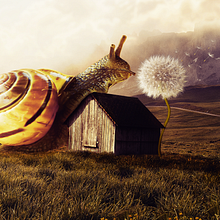 Meu projeto do curso: Fotomontagem surrealista com Photoshop . Concept Art project by Rafael Gonçalves - 03.23.2021