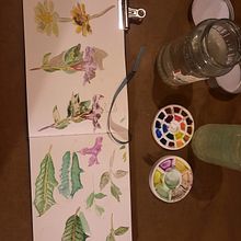 My project in Botanical Watercolor Sketchbook course. Un progetto di Illustrazione botanica di redsands_100 - 23.03.2021