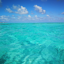 Mi Proyecto del curso: Guía práctica para aprender a manejar tu cámara digital desde cero. Pensamientos de una araña...! . Outdoor Photograph project by Dayana Pajaro - 03.23.2021