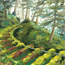 Personal Illustration Project. Gouache Painting & Ink Illustration project by Yağmur Kıyak - 11.11.2020