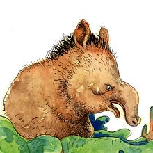 Mi Proyecto del curso: Animalario botánico: acuarela, tinta y grafito. . Een project van Stripboek y  Tekening van Gonzalo Agüero - 24.03.2021