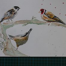 My project in Artistic Watercolor Techniques for Illustrating Birds course. Watercolor Painting project by Peter Downey - 03.24.2021