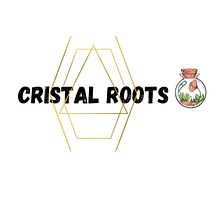 Mi Proyecto del curso: Cristal Roots Granada. Projekt z dziedziny Craft, Kreat, wność i  Dekoracja wnętrz użytkownika sirvilla1990 - 24.03.2021
