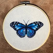 Mariposa monárquica . Embroider project by Margarita Colombo hiriart - 03.24.2021