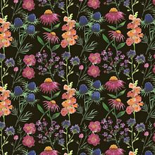 Proyecto de plantas nativas mexicanas. Un progetto di Stampa, Illustrazione botanica e Pittura ad acquerello di Mané Salinas Rodríguez - 24.03.2021