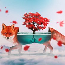 "Aquanimals" Series. Een project van Collage y Fotomontage van Bryantama Nur Hidayat Suyoto - 25.03.2021