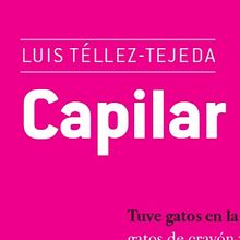 Capilar, redacción de texto lúdico sobre gatos para la antología GatoRex  coordinada por Abril Posas para la editorial Paraíso Perdido.. Writing, and Narrative project by Luis Téllez Tejeda - 11.01.2018