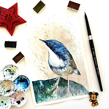 My project in Naturalist Bird Illustration with Watercolors course. Traditional illustration project by Maureen Fletcher - 03.19.2021