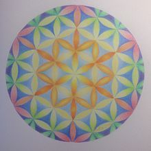 Dibu flor de la vida lápices de colores. Design e Ilustração naturalista projeto de Montse Alonso - 25.03.2021