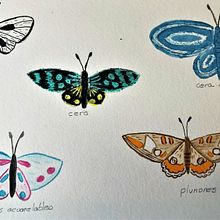 Mi Proyecto del curso: Técnicas de ilustración para desbloquear tu creatividad. Traditional illustration project by Elizabeth Posada - 03.26.2021
