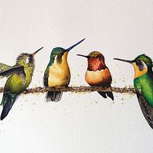 Mi Proyecto del curso: Acuarela artística para ilustración de aves. Projekt z dziedziny Ilustracja naturalist, czna i Malowanie akwarelą użytkownika music-art7 - 27.03.2021