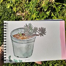 Meu projeto do curso: Caderno botânico em aquarela. Un proyecto de Dibujo y Pintura a la acuarela de Ana Clara Rocha Fuzari - 26.03.2021