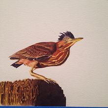 Baby Heron. Watercolor Painting project by Laura Becker - 11.26.2017
