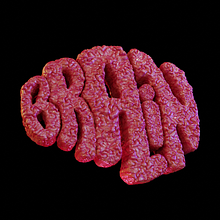 Brain (Lettering 3D). 3D, Lettering, e Lettering 3D projeto de Uriel Raúl Rivera Mejía - 10.02.2021