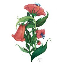 Floral Coral. Botanical Illustration, Painting, and Gouache Painting project by Cristina Bustamante Runde - 12.15.2020