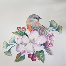 My project in Naturalist Illustrations with Watercolors: Drawing and Composition course. Projekt z dziedziny 3D użytkownika Jenny Foreman - 27.03.2021