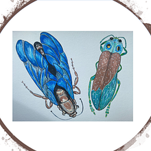 Insectos con acuarelas. Un proyecto de Pintura a la acuarela de Catalina Ionescu - 27.03.2021