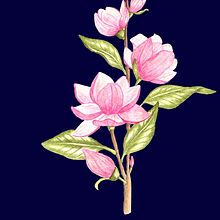 My project in Botanical Illustration with Watercolors course. Un progetto di Pittura ad acquerello di monicabalin - 27.03.2021