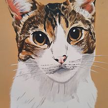 Retrato Animal. Un projet de Peinture acr , et lique de milagros concina - 29.03.2021